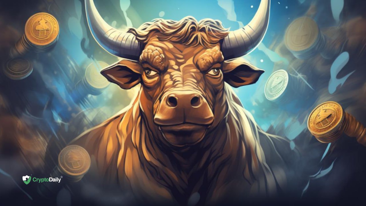 The Best Cryptos To Buy Before A Bull Run - Crypto Daily